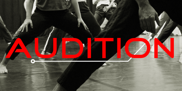 Audizioni per accedere a SPECIFIC 21/22 audizioni per SPECIFIC 21/22 corso di perfezionamento per danzatori