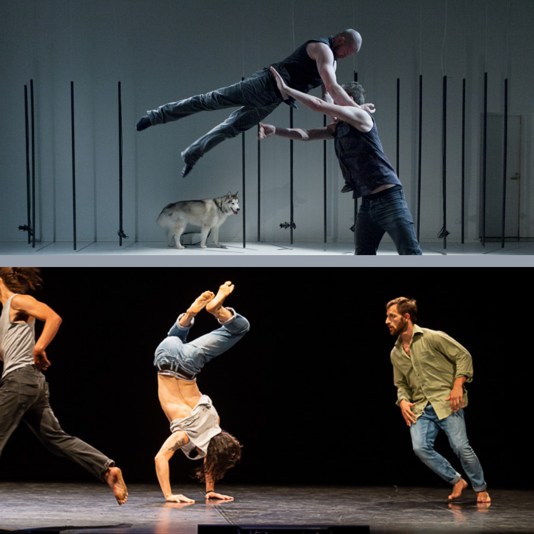 match 2022 workshop con Kinetic Orchestra e Compagnia Petrillo Danza match 2022 workshop con Kinetic Orchestra e Compagnia Petrillo Danza